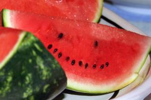 WatermelonSeeds