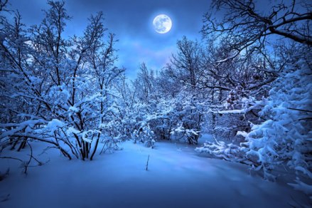 winter-moon
