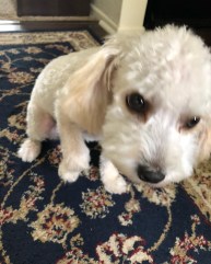 060E5405-10E3-46DA-B80D-F6BDF387E8B7